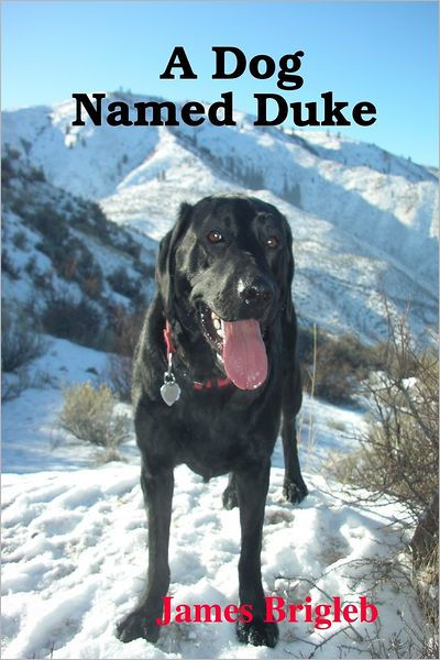 A dog named duke by james brigleb paperback barnes noble 