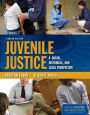 Juvenile Justice: A Social, Historical, and Legal Perspective / Edition 4