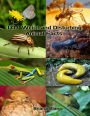 101 Weird and Disturbing Animal Facts