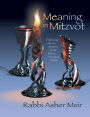 Meaning in Mitzvot: Following the 221 Chapters of the Kitzur Schulchan Arukh
