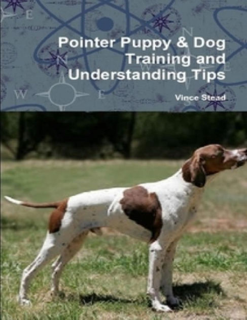 pointer puppy training