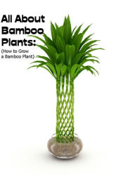 All About Bamboo Plants: (How to Grow a Bamboo Plant)