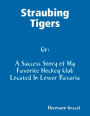 Straubing Tigers - A Success Story of My Favorite Hockey Club Located In Lower Bavaria