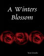 A Winters Blossom