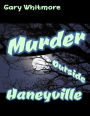Murder Outside Haneyville