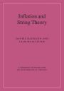 Inflation and String Theory