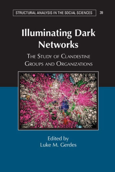 Illuminating Dark Networks: The Study of Clandestine Groups and Organizations