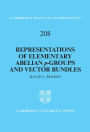 Representations of Elementary Abelian p-Groups and Vector Bundles