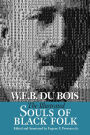 Illustrated Souls of Black Folk