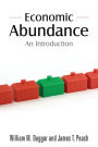 Economic Abundance: An Introduction