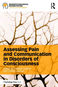 Title: Assessing Pain and Communication in Disorders of Consciousness, Author: Camille Chatelle