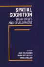 Spatial Cognition: Brain Bases and Development