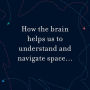 Alternative view 3 of Dark and Magical Places: The Neuroscience of Navigation