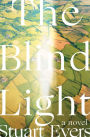 The Blind Light: A Novel