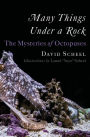 Many Things Under a Rock: The Mysteries of Octopuses