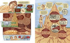 Alternative view 2 of Insectopolis: A Natural History