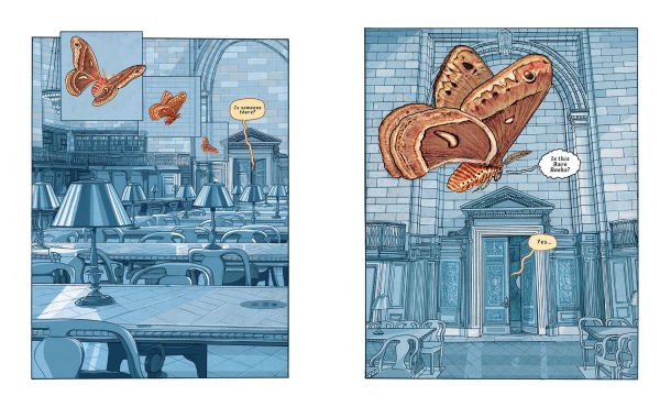 Insectopolis: A Natural History