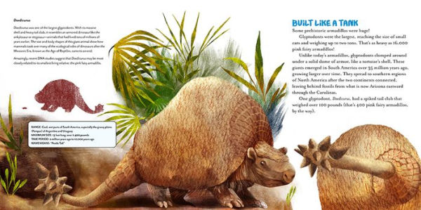 The Oddball Book of Armadillos