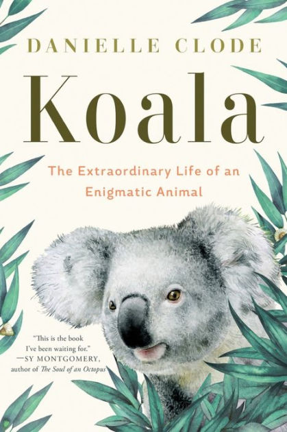 THE KOALA: A Natural History