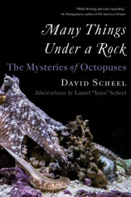 Title: Many Things Under a Rock: The Mysteries of Octopuses, Author: David Scheel