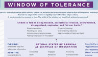 Title: Window of Tolerance Laminated Card, Author: Daniel J. Siegel M.D.
