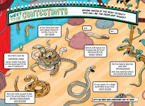 Alternative view 4 of The Deadliest: Snake