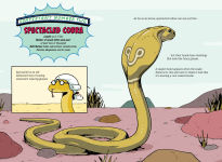 Alternative view 5 of The Deadliest: Snake