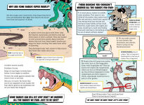 Alternative view 6 of The Deadliest: Snake