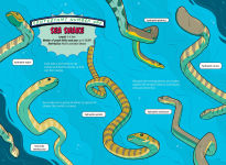 Alternative view 8 of The Deadliest: Snake