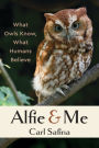 Alfie and Me: What Owls Know, What Humans Believe