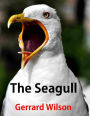The Seagull