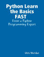 Python Learn the Basics FAST : From a Python Programming Expert