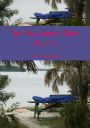 The Wanderer's Diary Book 3