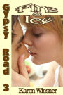 Fire & Ice, Book 3 of the Gypsy Road Series