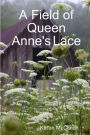 A Field of Queen Anne's Lace