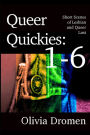 Queer Quickies: Volumes 1-6