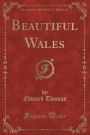 Beautiful Wales (Classic Reprint)