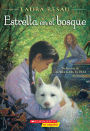 Estrella en el bosque