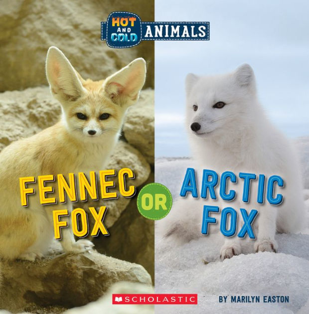 are arctic foxes cats or dogs