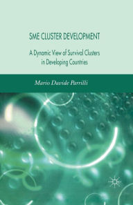 Title: SME Cluster Development: A Dynamic View of Survival Clusters in Developing Countries, Author: M. Parrilli