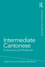 Intermediate Cantonese: A Grammar and Workbook