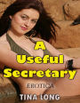 A Useful Secretary (Erotica)