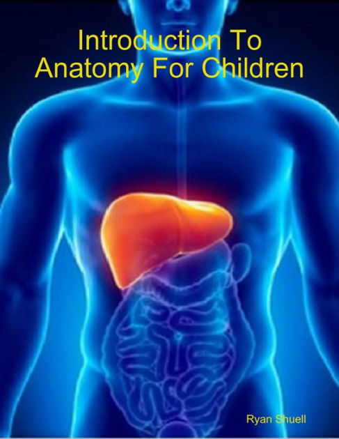 Introduction To Anatomy For Children By Ryan Shuell Nook Book Ebook Barnes Noble