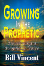 Growing In the Prophetic: Developing a Prophetic Voice