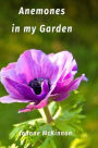 Anemones in my Garden