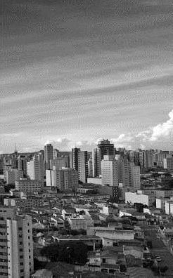 Cinza Gray By Matangra Flavio Luiz Matangrano Paperback