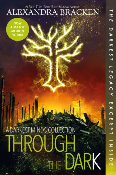 Through the Dark (Bonus Content) (A Darkest Minds Collection)