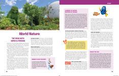 Alternative view 9 of Birnbaum's 2025 Walt Disney World: The Official Vacation Guide