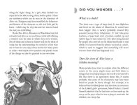 Alternative view 2 of Alice's Adventures in Wonderland