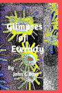 Glimpses of Eternity.